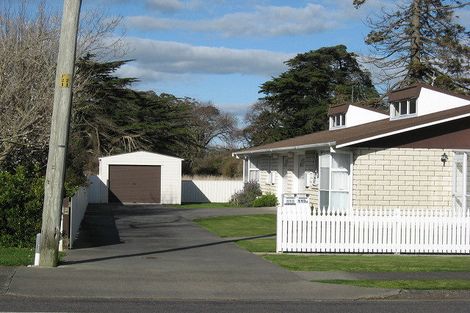 Photo of property in 113a Tutaenui Road, Marton, 4710