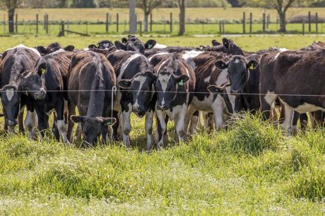 Photo of property in 585 Coutts Island Road, Coutts Island, Christchurch, 7670