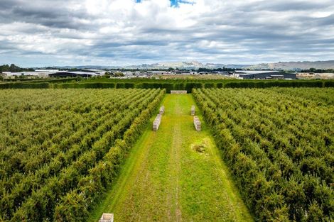 Photo of property in 5 Feltwell Place, Mangere Bridge, Auckland, 2022