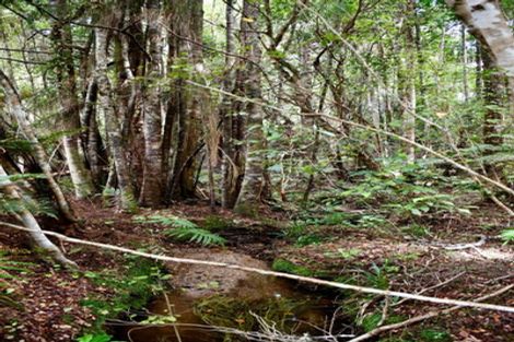 Photo of property in 70 Sunset Heights Road, Karamea, 7893