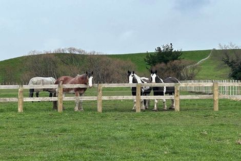 Photo of property in 19 Black Road, Ashley Clinton, Takapau, 4286