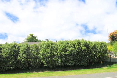 Photo of property in 102 Elizabeth Street, Tauhara, Taupo, 3330