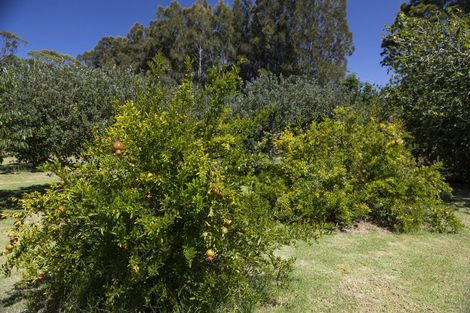 Photo of property in 810 Gill Road, Kaitaia, 0483