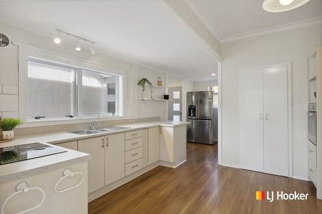 Photo of property in 37 Birchfield Avenue, North East Valley, Dunedin, 9010