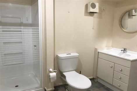 Photo of property in Maison Cabriole Building, 60u3 Courtenay Place, Te Aro, Wellington, 6011