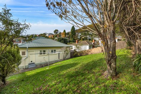 Photo of property in 24 Antrim Street, Normanby, Dunedin, 9010