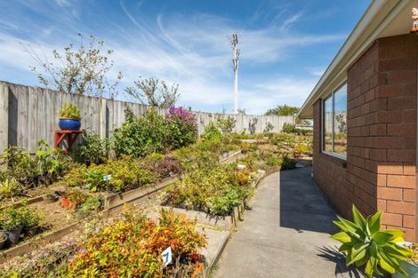 Photo of property in 22 Orchard Road, Waihi, 3610