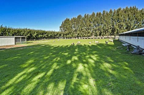 Photo of property in 25 Stock Road, Pakipaki, Hastings, 4172