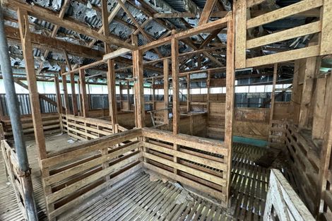 Photo of property in 445 Avoca Road, Mamaranui, Dargaville, 0372