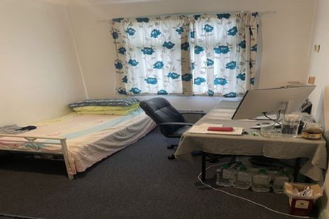 Photo of property in 17 Hargreaves Street, Mount Cook, Wellington, 6021