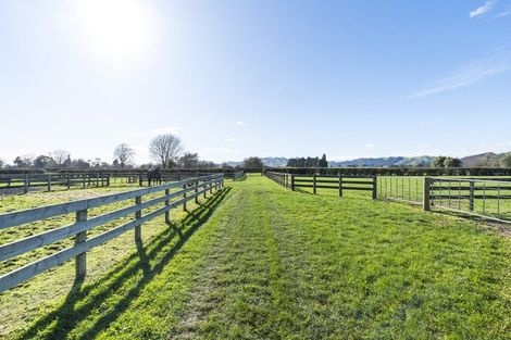 Photo of property in 365 Maungatautari Road, Cambridge, 3494