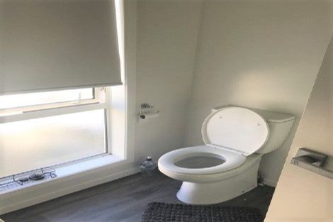 Photo of property in 167u7 Nixon Street, Hamilton East, Hamilton, 3216