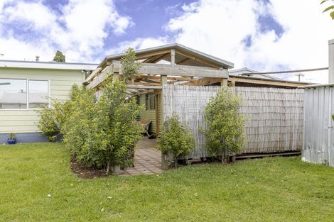Photo of property in 58 Mould Street, Waitara, 4320