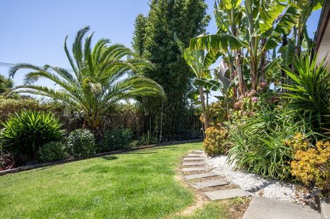 Photo of property in 11 Park Drive, Raglan, 3225