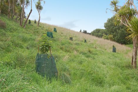 Photo of property in 319 Parekura Road, Kaiwaka, 0573