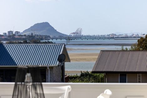 Photo of property in 48 Tutauanui Crescent, Maungatapu, Tauranga, 3112