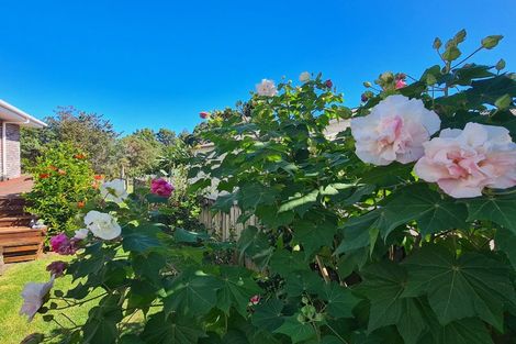 Photo of property in 260a Edward Street, Coromandel, 3506