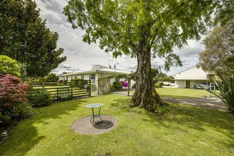 Photo of property in 52 Napier Street, Jervoistown, Napier, 4112