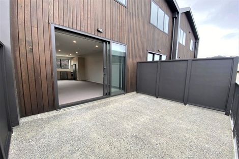 Photo of property in Aniva Terrace, 32 Ferguson Street, Newtown, Wellington, 6021