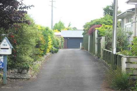 Photo of property in 16a Princes Street, Cambridge, 3434