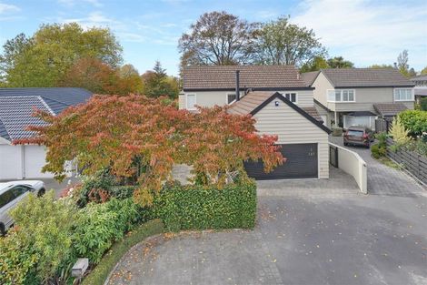 Photo of property in 127 Fendalton Road, Fendalton, Christchurch, 8014