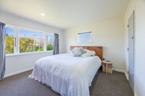 Photo of property in 68 Racecourse Road, Waipukurau, 4200