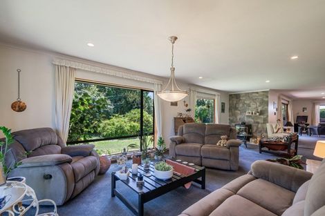 Photo of property in 51 Pohutukawa Drive, Levin, 5571