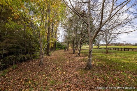 Photo of property in 22 Lone Gum Lane, Kerikeri, 0230