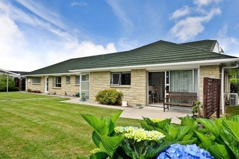 Photo of property in 3 Mcmeekan Avenue, Chartwell, Hamilton, 3210