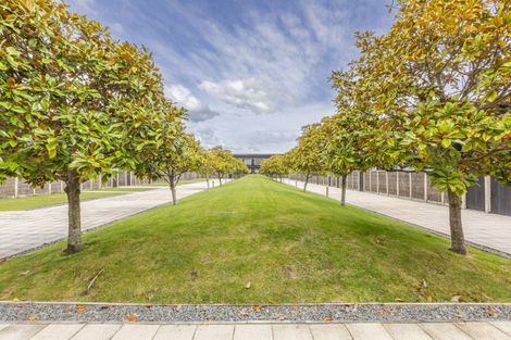 Photo of property in The Terraces, 3/9 Humber Street, Pandora, Napier, 4110