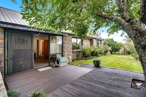 Photo of property in 49e Carey Street, Maeroa, Hamilton, 3200