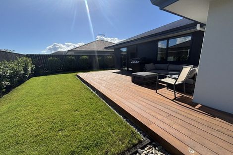 Photo of property in 24 Chertsey Street, Richmond, 7020