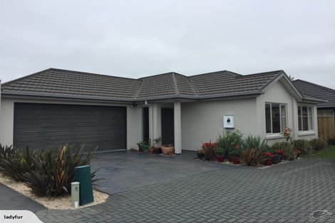 Photo of property in 62 Mahlet Street, Northwood, Christchurch, 8051