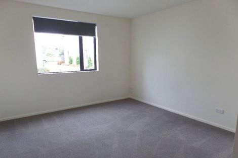 Photo of property in 79 Mandeville Street, Riccarton, Christchurch, 8011