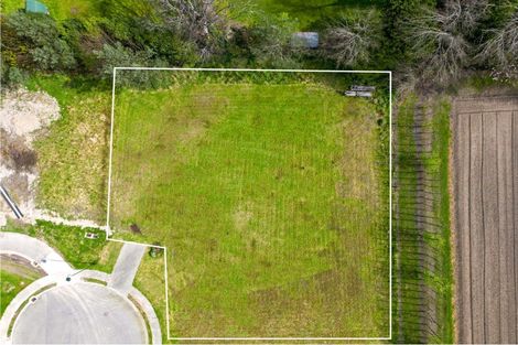 Photo of property in 50 Orchard Road, Greytown, 5712