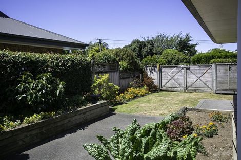 Photo of property in 58 Princes Street, Cambridge, 3434