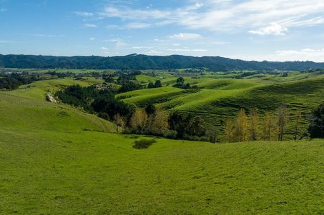 Photo of property in 1572 Ruapekapeka Road, Kawakawa, 0182