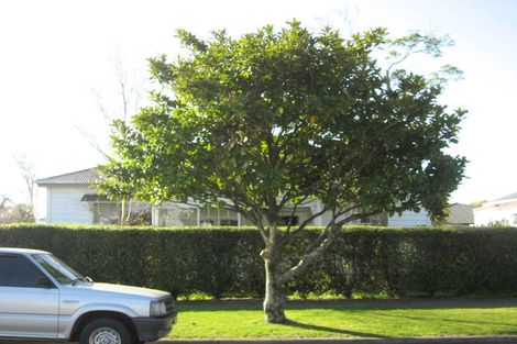 Photo of property in 12 Simpkins Street, Whakatane, 3120