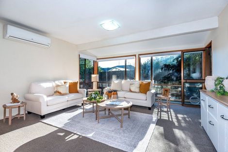 Photo of property in 61 Torrens Road, Hillmorton, Christchurch, 8024