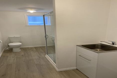 Photo of property in 106 Hamilton Road, Hataitai, Wellington, 6021