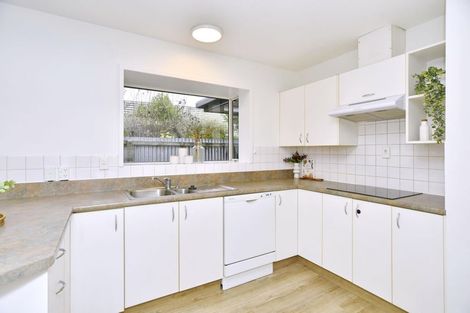 Photo of property in 47 Jocelyn Street, Casebrook, Christchurch, 8051