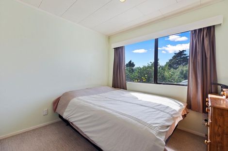 Photo of property in 36 The Drive, Brookfield, Tauranga, 3110