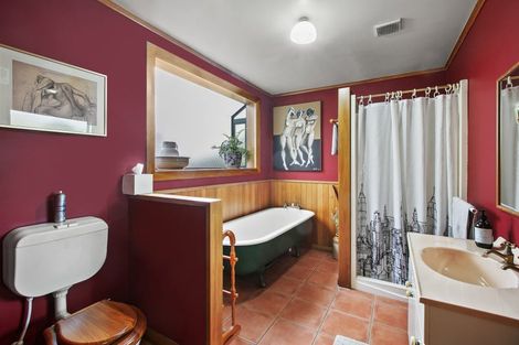 Photo of property in 100a Carrington Street, Lower Vogeltown, New Plymouth, 4310