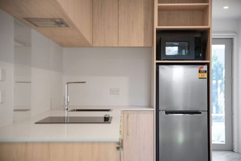 Photo of property in 19 Winchester Street, Merivale, Christchurch, 8014