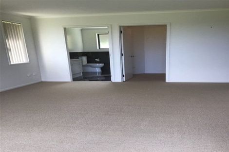 Photo of property in 1707 Mangawhai Road, Mangawhai, Wellsford, 0975