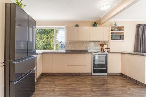Photo of property in 61 Elwyn Crescent, Green Island, Dunedin, 9018