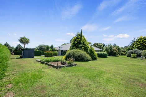 Photo of property in 51 Pohutukawa Drive, Levin, 5571