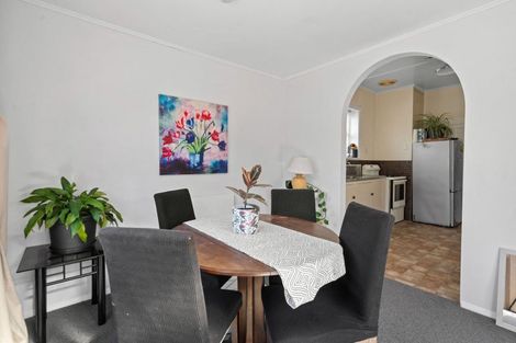 Photo of property in 144 Essex Street, Masterton, 5810