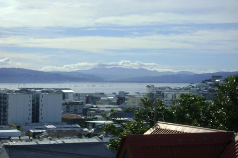 Photo of property in 53 Hankey Street, Mount Cook, Wellington, 6011