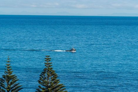 Photo of property in 22 Seaview Avenue, Cape Palliser, Pirinoa, 5772